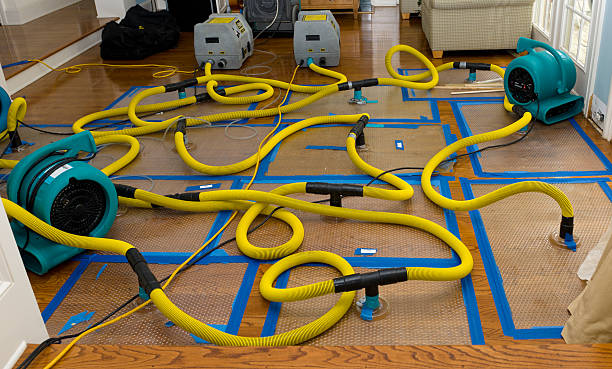 Professional Crawl Space Water Removal technician working in Murphy, MO
